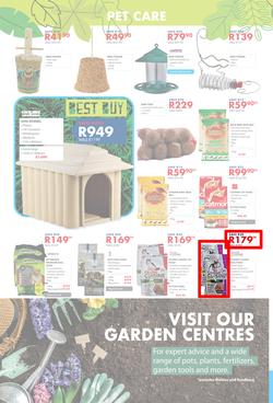Chamberlains : Get Into Your Garden (17 August - 13 September 2020), page 8