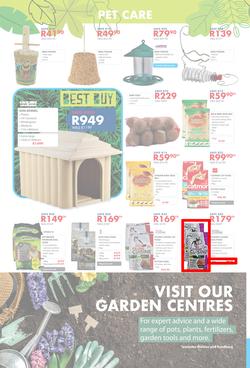 Chamberlains : Get Into Your Garden (17 August - 13 September 2020), page 8