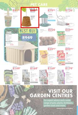 Chamberlains : Get Into Your Garden (17 August - 13 September 2020), page 8