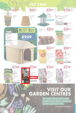 Chamberlains : Get Into Your Garden (17 August - 13 September 2020), page 8