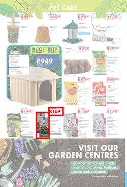 Chamberlains : Get Into Your Garden (17 August - 13 September 2020), page 8