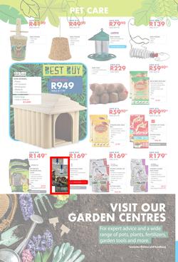 Chamberlains : Get Into Your Garden (17 August - 13 September 2020), page 8