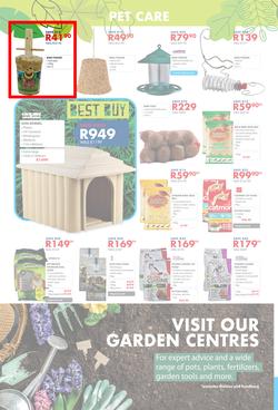 Chamberlains : Get Into Your Garden (17 August - 13 September 2020), page 8