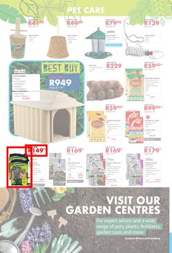 Chamberlains : Get Into Your Garden (17 August - 13 September 2020), page 8