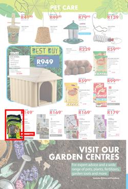 Chamberlains : Get Into Your Garden (17 August - 13 September 2020), page 8