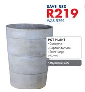 Pot Plant 7PC240X