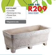 Pot Plant 7PC234A