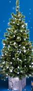 Cashmere-Branched Porch Christmas Tree-1.2m
