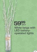 White Twigs With Led Battery-Operated Lights