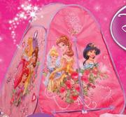 Disney Princess Tent