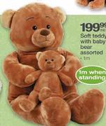 Soft Teddy With Baby Bear Assorted-1m