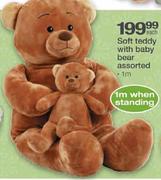Soft Teddy With Baby Bear Assorted-1m Each