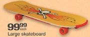 Large Skateboard Assorted