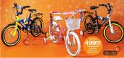 Thunderbolt/Stardust Boys/Girls BMX Bicycle-50cm