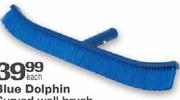 Blue Dolphin Curved Wall-45cm