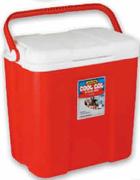 Addis Cool Cat Cooler Box Assorted-26L