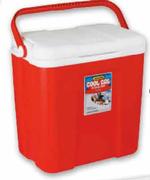 Addis Cool Cat Cooler Box Assorted-26l each