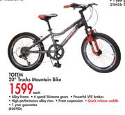 Totem 20" Tracks Mountain Bike-Each