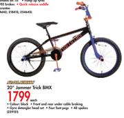 Raleigh 20" Jammer Trick BMX-Each