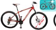 Raleigh Enduro Alloy Mountain Bike-Each