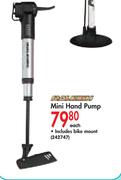 Mini Hand Pump-Each