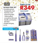 Rolson 30 Piece Tool Set