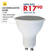 Radiant LED Downlighter Globe