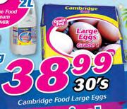 Cambridge Food Large Eggs-30's