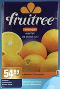 Fruitree Fruit Nectar Blend/Juice-5Ltr