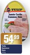 Tulip Gammon Ham-450g