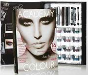 Academy Of Colour Complete Eyeshadow How To Guide