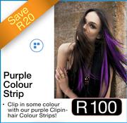 Purple Colour Strip