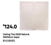 Ceiling Tile 2009 Natural 50 x 50cm 2Sqm 81456695