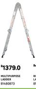 Multipurpose Ladder 81480873
