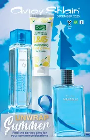 Avroy Shlain : Unwrap Summer (01 December - 31 December 2025)
