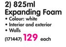 Fixit Expanding Foam-Each
