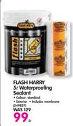 Flash Harry Waterproofing Sealant-5L