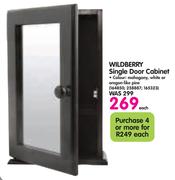 Wildberry Single Door Cabinet