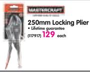Mastercraft 250mm Locking Plier-Each