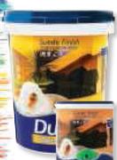 Dulux 20Ltr Wallguard