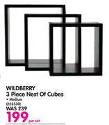 Wildberry 3 Piece Nest Of Cubes Small