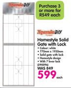 Xpanda DIY Homestyle Solid Gate With Lock