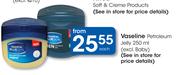 Vaseline Petroleum Jelly-250ml(Excl.Baby)-Each