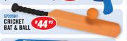 Cricket Bat & Ball SP205941
