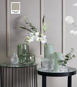Clear Bulb Vase