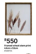 Framed Wheat Stem Print 43cm x 53cm