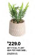 Artificial Plant Cem Pot Mustard 81489145