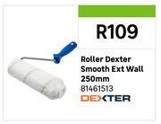 Roller Dexter Smooth Ext Wall 250mm 81461513