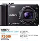 Sony Cyber Shot Bridge Camera-DSCH70