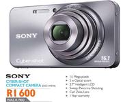 Sony Cyber-Shot Compact Camera-DSC-W570
